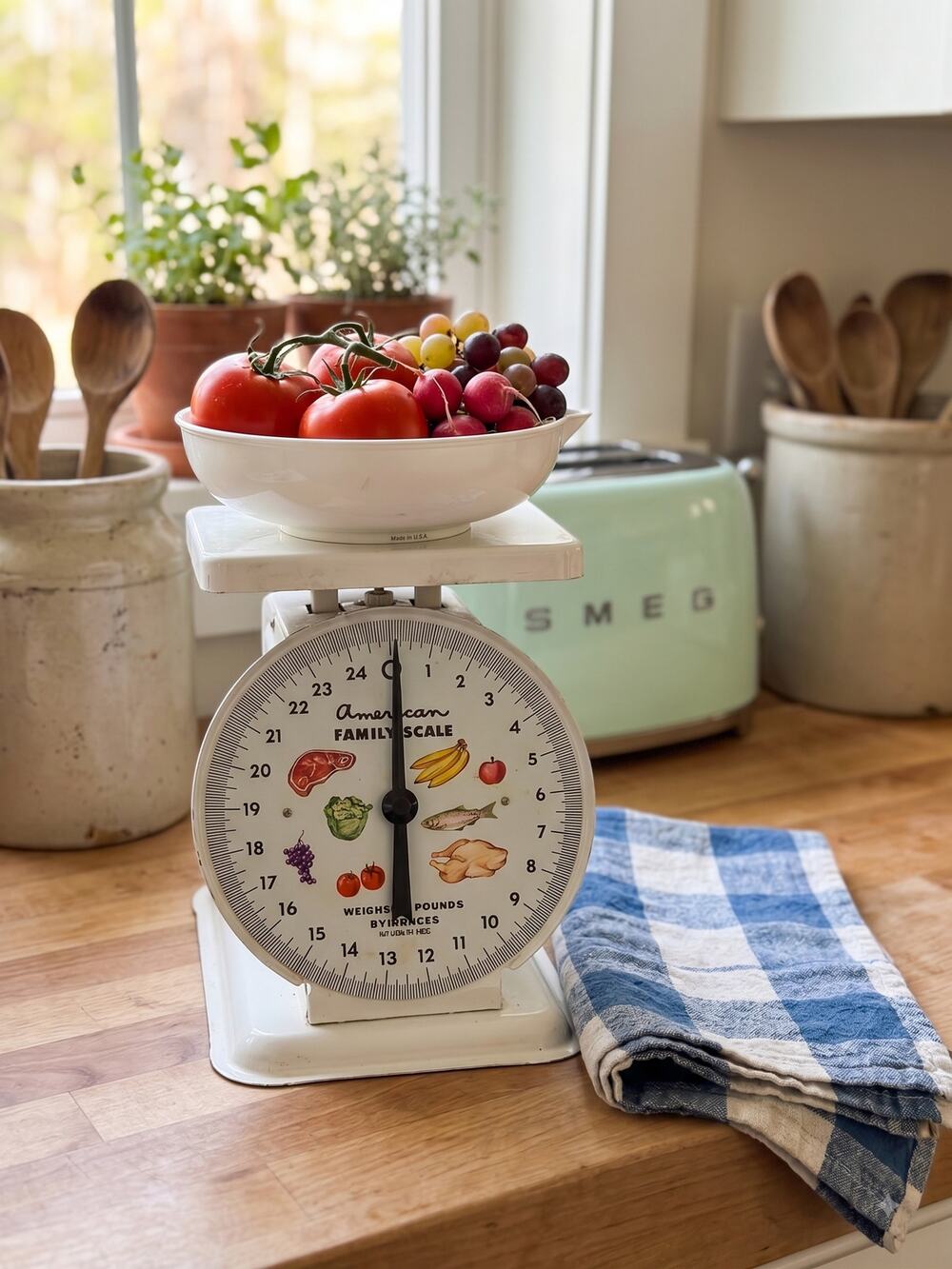 Vintage American Family Scale White Kitchen 25lb Illustrated Food Graphics Bowl